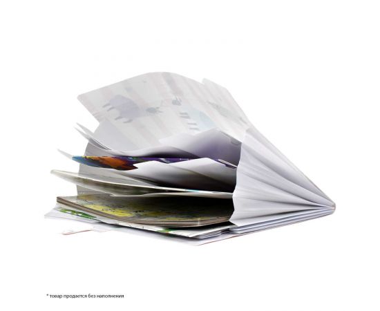 Папка для документов пластиковая А4, 32.5х22х1.7 см, 8 отделение (-я), кнопка, дно с расширением 48309