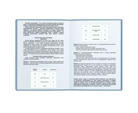 Тетрадь для записи иероглифов 24 л. КОТ В ЦВЕТАХ 51504