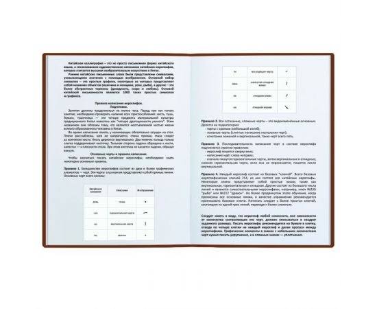 Тетрадь для записи иероглифов 24 л.ХИТРАЯ ЛИСИЧКА 51506