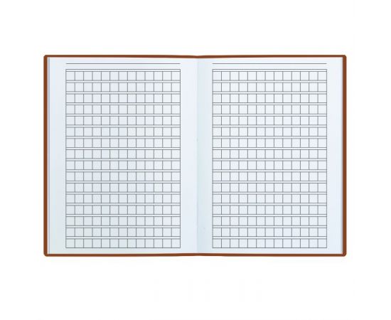 Тетрадь для записи иероглифов 24 л.ХИТРАЯ ЛИСИЧКА 51506