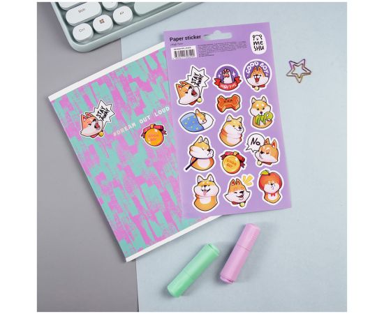 Наклейки бумажные MESHU "High five", 12*21см, 13 наклеек, европодвес MS_41629