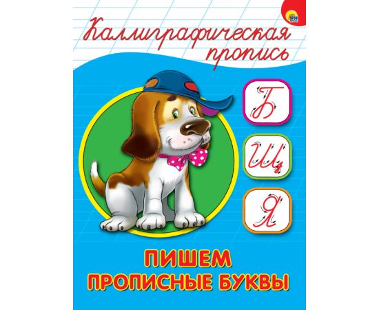 КАЛЛИГРАФИЧЕСКАЯ ПРОПИСЬ А5. ПИШЕМ ПРОПИСНЫЕ БУКВЫ 978-5-378-26406-3