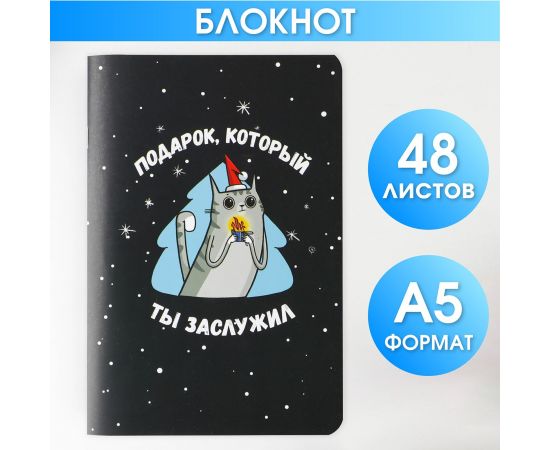 Блокнот «Подарок, который ты заслужил», А5, 48 листов софт тач 7861160