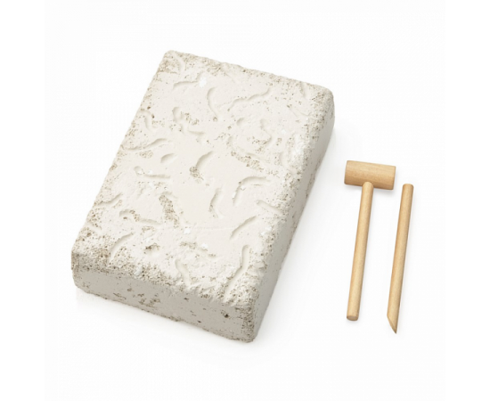 Большой набор для проведения раскопок "Динозавры" dig-11