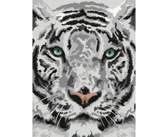 Картина по номерам на картоне ТРИ СОВЫ "Бенгальский тигр", 30*40, с акриловыми красками и кистями КК_44025
