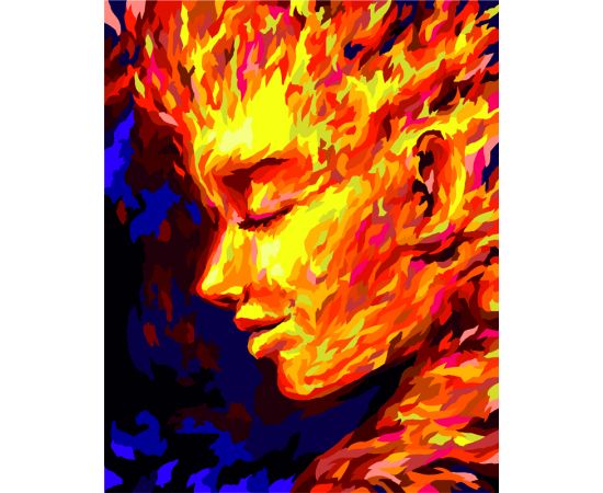 Картина по номерам на холсте ТРИ СОВЫ "Стихия. Огонь", 40*50, с акриловыми красками и кистями КХ_44203