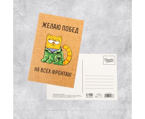 Почтовая карточка «С 23 февраля», котик, 10 × 15 см 3812537