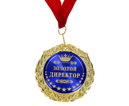 Медаль в бархатной коробке «Золотой директор», d=7 см 486549
