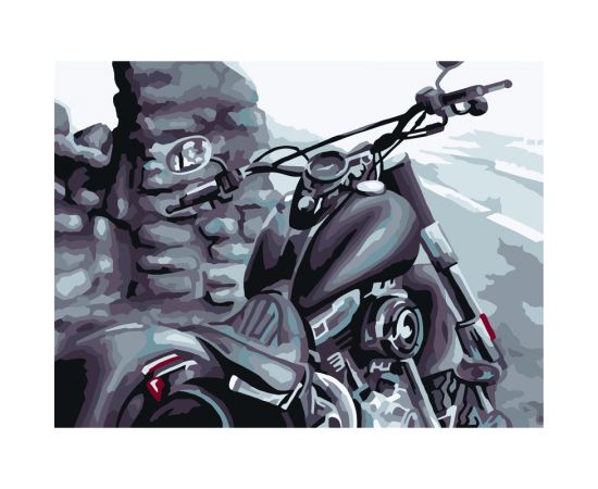 Картина по номерам на холсте ТРИ СОВЫ "Байк", 30*40, с акриловыми красками и кистями КХ_44123