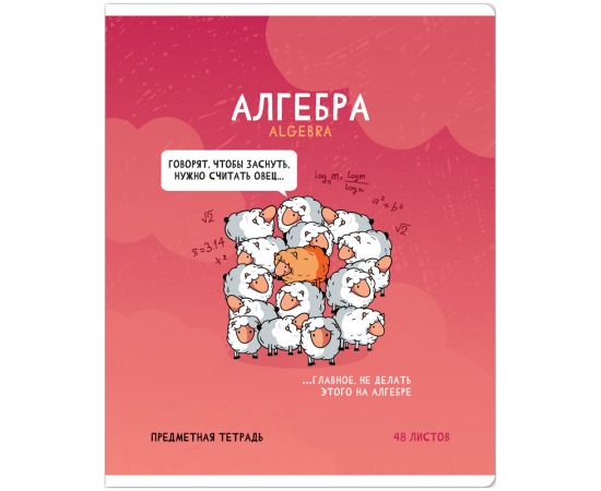 Тетрадь предметная 48л. ArtSpace "Не по правилам" - Алгебра, глянцевая ламинация Тп48к_48029