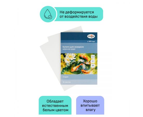 Папка для акварели, 10л., А4 Гамма "Студия", 200г/м2, среднее зерно 40C03F710W