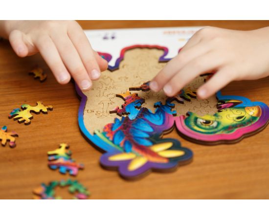 Деревянный фигурный пазл «Стегозавр» kids S 46071774551739