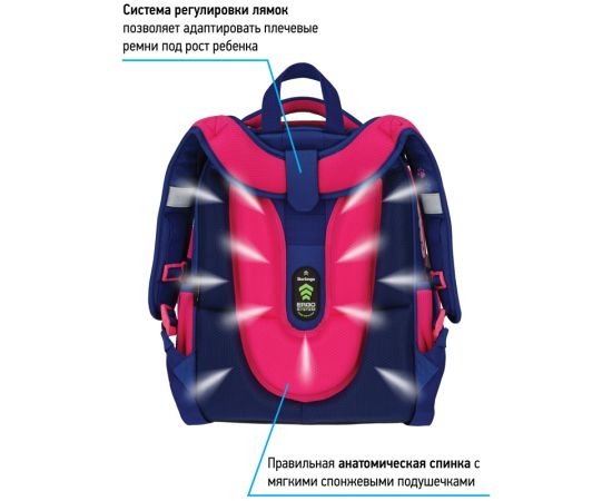 Ранец Berlingo Expert "Surprised cat" 37*28*16см, 2 отделения, 2 кармана, анатомическая спинка RU07102