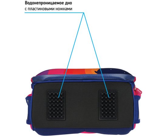 Ранец Berlingo Expert "Surprised cat" 37*28*16см, 2 отделения, 2 кармана, анатомическая спинка RU07102