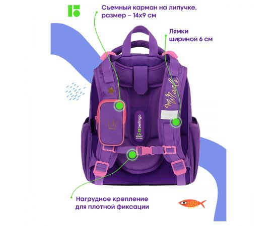Ранец Berlingo Expert "Hedgehog" 37*28*16см, 2 отделения, 2 кармана, анатомическая спинка RU09006