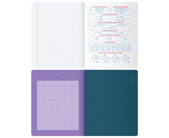 Тетрадь предметная 48л. BG "Monocolor. Element" - Алгебра, ламинация soft-touch, выб. лак, 70г/м2 ТП5ск48_лс_вл 11664