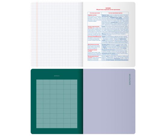 Тетрадь предметная 48л. BG "Monocolor. Element" - Биология, ламинация soft-touch, выб. лак, 70г/м2 ТП5ск48_лс_вл 11666