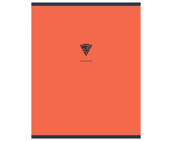 Тетрадь предметная 48л. BG "Monocolor. Element" - Геометрия, ламинация soft-touch, выб. лак, 70г/м2 ТП5ск48_лс_вл 11668