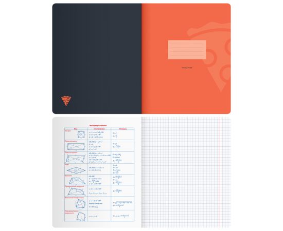 Тетрадь предметная 48л. BG "Monocolor. Element" - Геометрия, ламинация soft-touch, выб. лак, 70г/м2 ТП5ск48_лс_вл 11668