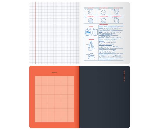 Тетрадь предметная 48л. BG "Monocolor. Element" - Геометрия, ламинация soft-touch, выб. лак, 70г/м2 ТП5ск48_лс_вл 11668