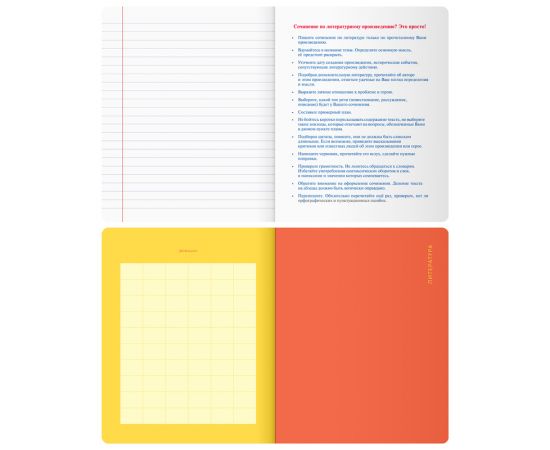 Тетрадь предметная 48л. BG "Monocolor. Element" - Литература, ламинация soft-touch, выб. лак, 70г/м2 ТП5ск48_лс_вл 11672