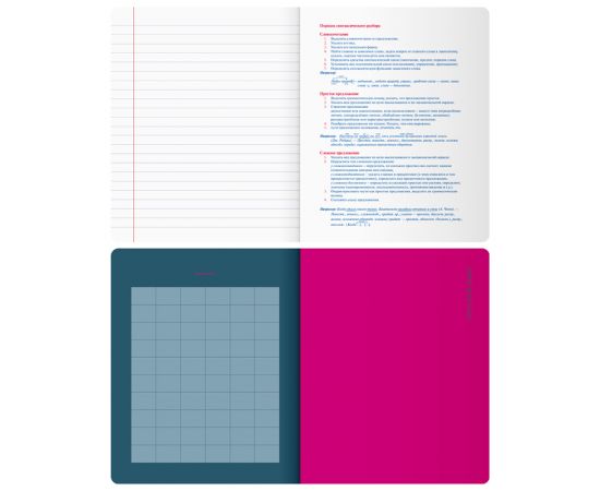 Тетрадь предметная 48л. BG "Monocolor. Element" - Русский язык, ламинация soft-touch, выб. лак, 70г/м2 ТП5ск48_лс_вл 11673