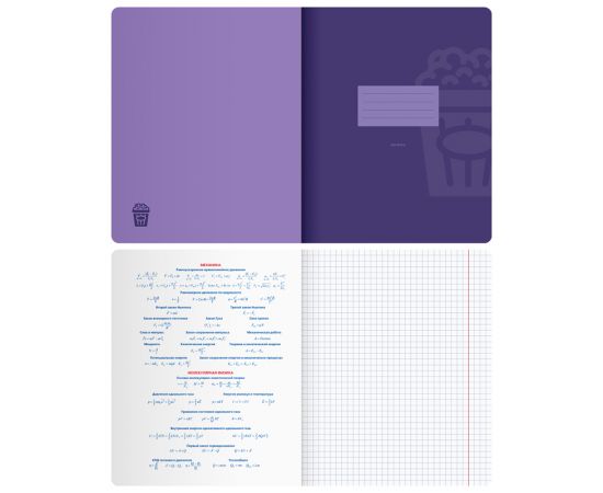 Тетрадь предметная 48л. BG "Monocolor. Element" - Физика, ламинация soft-touch, выб. лак, 70г/м2 ТП5ск48_лс_вл 11674