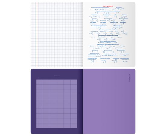 Тетрадь предметная 48л. BG "Monocolor. Element" - Физика, ламинация soft-touch, выб. лак, 70г/м2 ТП5ск48_лс_вл 11674
