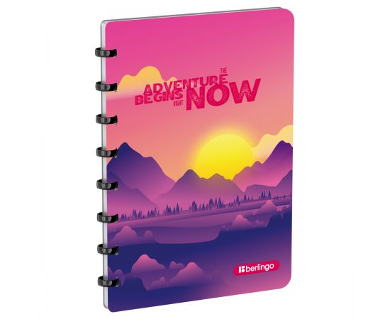 Бизнес-тетрадь А5+, 80л., Berlingo "Scenic", клетка, на кольцах, с возм. замены блока, 80г/м2, пластик обложка 700мкм, линейка-закладка RNt_A5S16