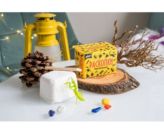 Мини набор для проведения раскопок "Насекомые" dig-54 dig-54