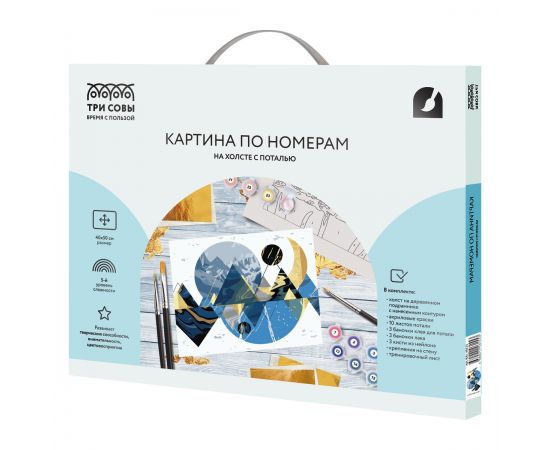 Картина по номерам на холсте ТРИ СОВЫ "Абстракция", 40*50, с поталью, акриловыми красками и кистями КХп_48155