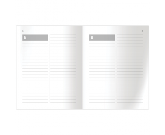 Тетрадь-словарик 16л., А5 для записи словарных слов BG "Запиши и запомни" ТС5ск32 11044