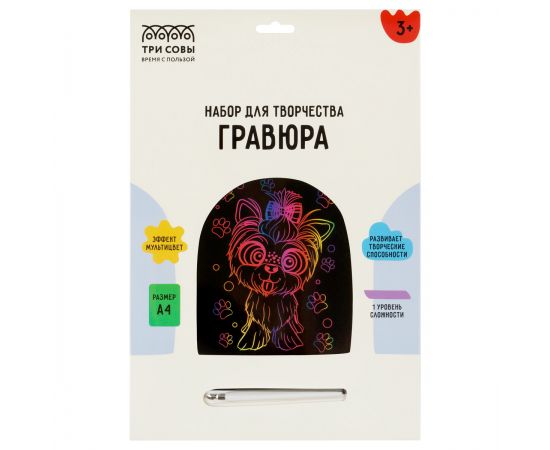 Гравюра с мультицветной основой ТРИ СОВЫ "Веселый Йорк", А4 GA4_49931