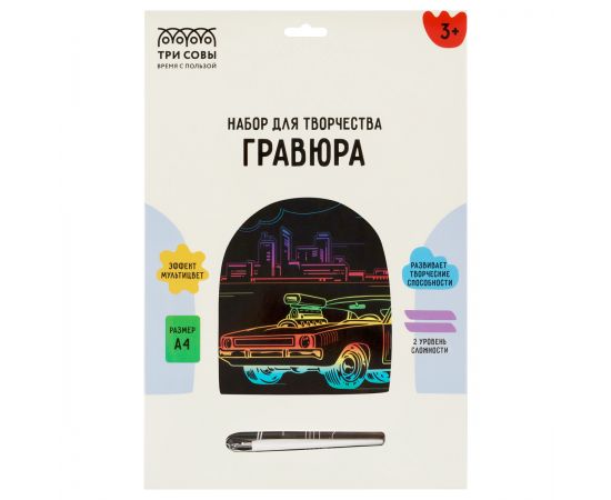 Гравюра с мультицветной основой ТРИ СОВЫ "Городской гонщик", А4 GA4_49942