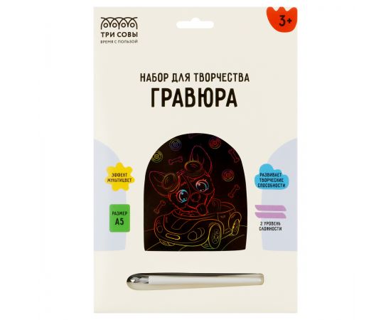 Гравюра с мультицветной основой ТРИ СОВЫ "Гонщик", А5 GA5_49954