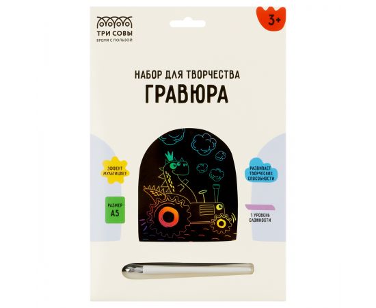 Гравюра с мультицветной основой ТРИ СОВЫ "Водитель", А5 GA5_49956