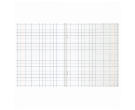 Тетрадь 12л., клетка MESHU "Cute frog" MS_50151/1