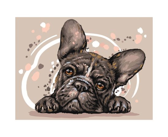 Картина по номерам на картоне ТРИ СОВЫ "Французский бульдог", 30*40, с акриловыми красками и кистями КК_44035