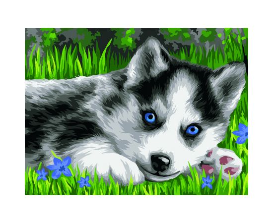 Картина по номерам на картоне ТРИ СОВЫ "Голубоглазый пушистик", 30*40, с акриловыми красками и кистями КК_44043