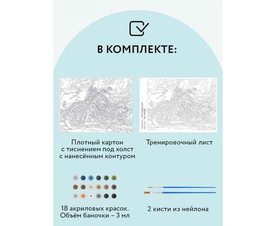 Картина по номерам на картоне ТРИ СОВЫ "На скорости", 30*40, с акриловыми красками и кистями КК_44056