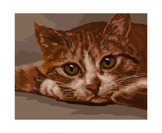 Картина по номерам на холсте ТРИ СОВЫ "Рыжик", 40*50, с акриловыми красками и кистями КХ_44173