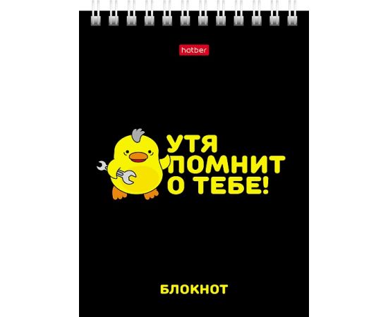 Блокнот 40л А6ф клетка Обл. мел.картон УФ-лак на гребне серия -УтяКря 40Б6В1гр