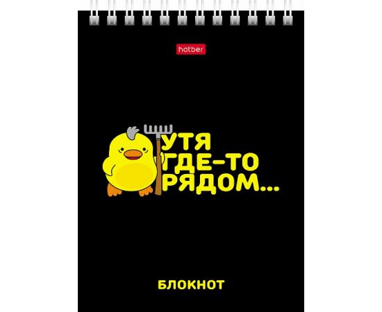 Блокнот 40л А6ф клетка Обл. мел.картон УФ-лак на гребне серия -УтяКря 40Б6В1гр