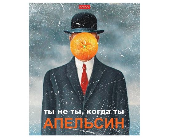 Тетрадь 96л А5ф клетка 65г/кв.м на скобе мат.ламин. серия -Даёшь апельсин!- Выпуск №2 96Т5лВ1