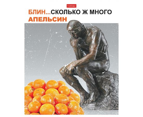 Тетрадь 96л А5ф клетка 65г/кв.м на скобе мат.ламин. серия -Даёшь апельсин!- Выпуск №2 96Т5лВ1
