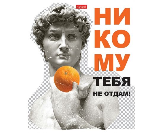 Тетрадь 96л А5ф клетка 65г/кв.м на скобе мат.ламин. серия -Даёшь апельсин!- Выпуск №2 96Т5лВ1