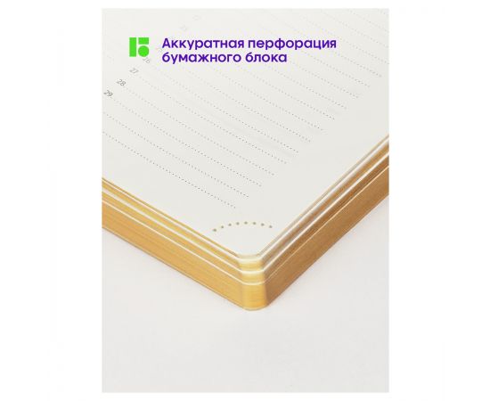 Ежедневник недатированный, А5, 136л., кожзам, Berlingo "Style", золотой срез, зеленый, с рисунком UD2_99502