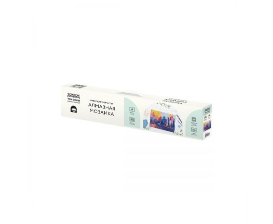 Алмазная мозаика ТРИ СОВЫ "Город", 50*70см, холст, картонная коробка с пластиковой ручкой АМ5070_47579