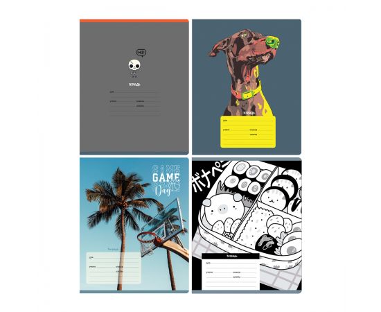 Тетрадь 24л., клетка BG "Super Mix-24", эконом Т5ск24 11735