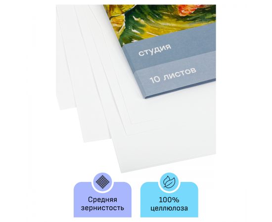 Папка для акварели, 10л., А3 Гамма "Студия", 200г/м2, среднее зерно 30C03F710W